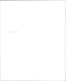 Runaway Train - Vintage Photograph