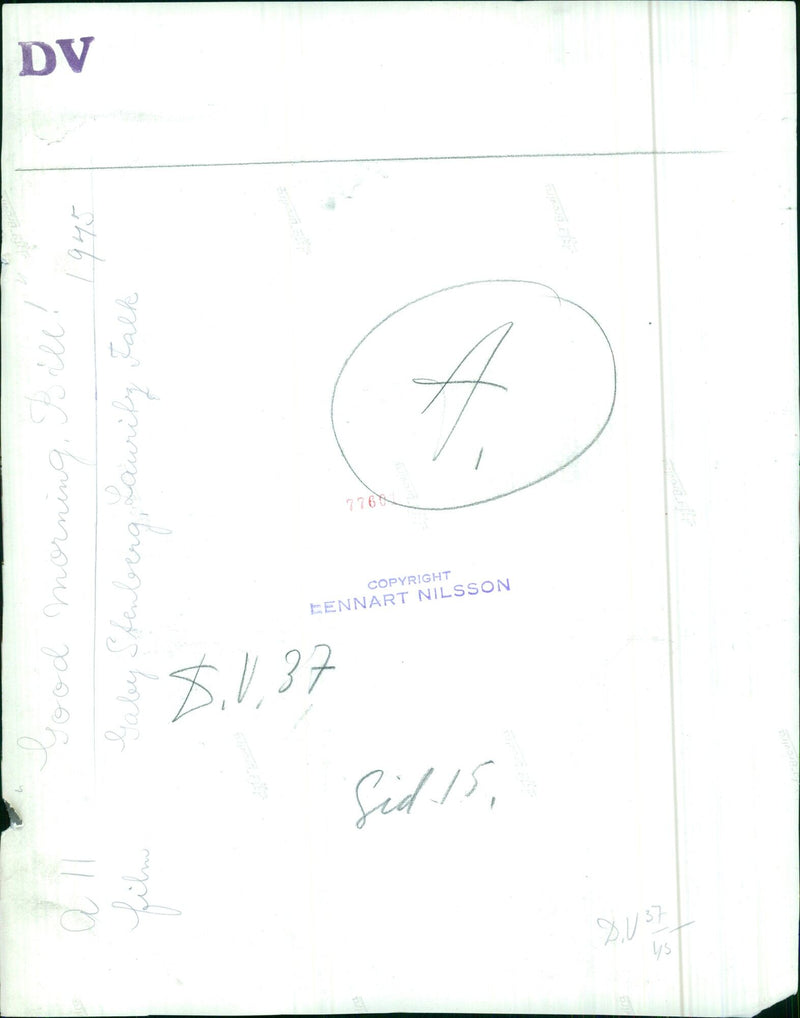 A man is seen taking a photograph with an old-fashioned film camera while standing in front of a scenic cityscape. - Vintage Photograph