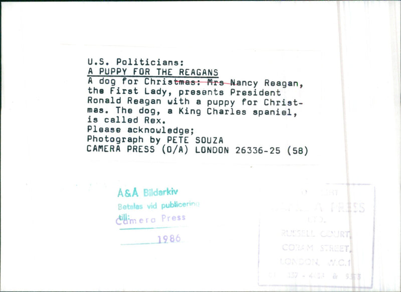 On December 25th 1986, First Lady Nancy Reagan gifts her husband President Ronald Reagan with a King Charles Spaniel puppy named Rex for Christmas. - Vintage Photograph