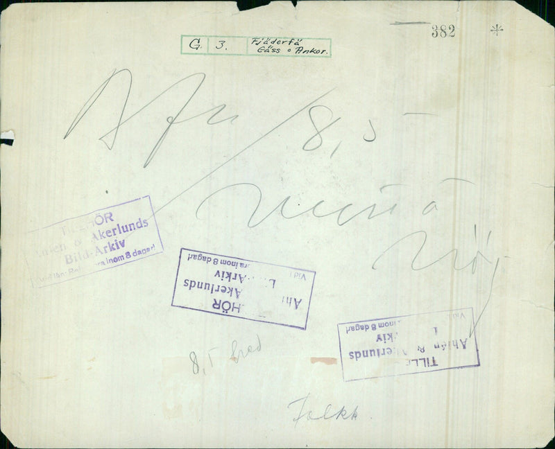 A flock of geese and ducks fly over a lake in Sweden, as captured by photographer Ahlén & Åkerlunds on 8.5.2020. - Vintage Photograph