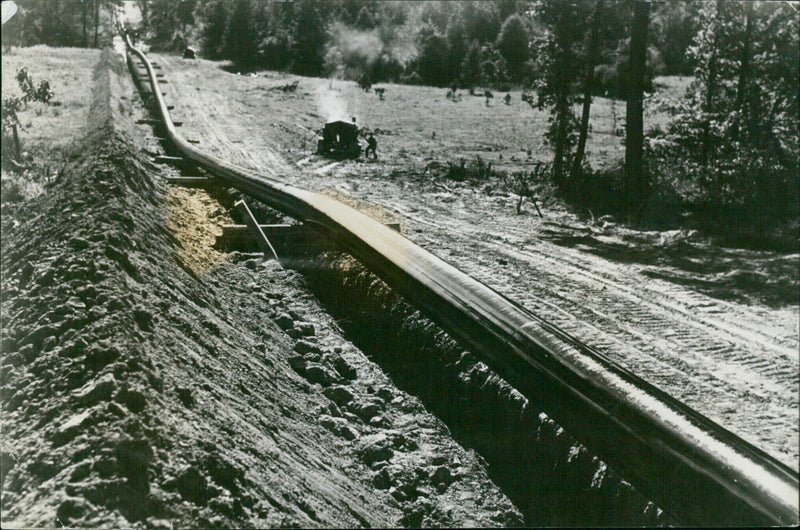 Workers paint an oil pipeline, part of the 1,400-mile "Big Inch" system delivering fuel and lubricants to U.S. and United Nations forces in the U.S. Southwestern and Eastern Atlantic states. - Vintage Photograph