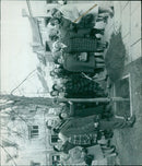 Three trees standing tall in a grassy field. - Vintage Photograph