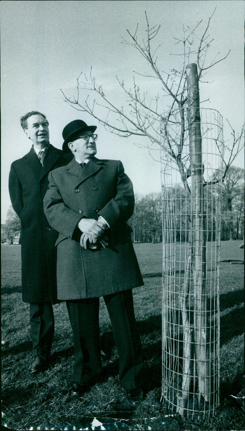 Ex-Servicemen from the Oxford and District Far East Prisoner of War Association commemorate their fallen comrades with a tree planting ceremony in South Park. - Vintage Photograph