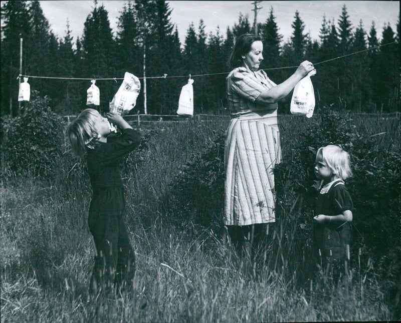 Bredkärr farm in Dorotea, Sweden 1943. - Vintage Photograph