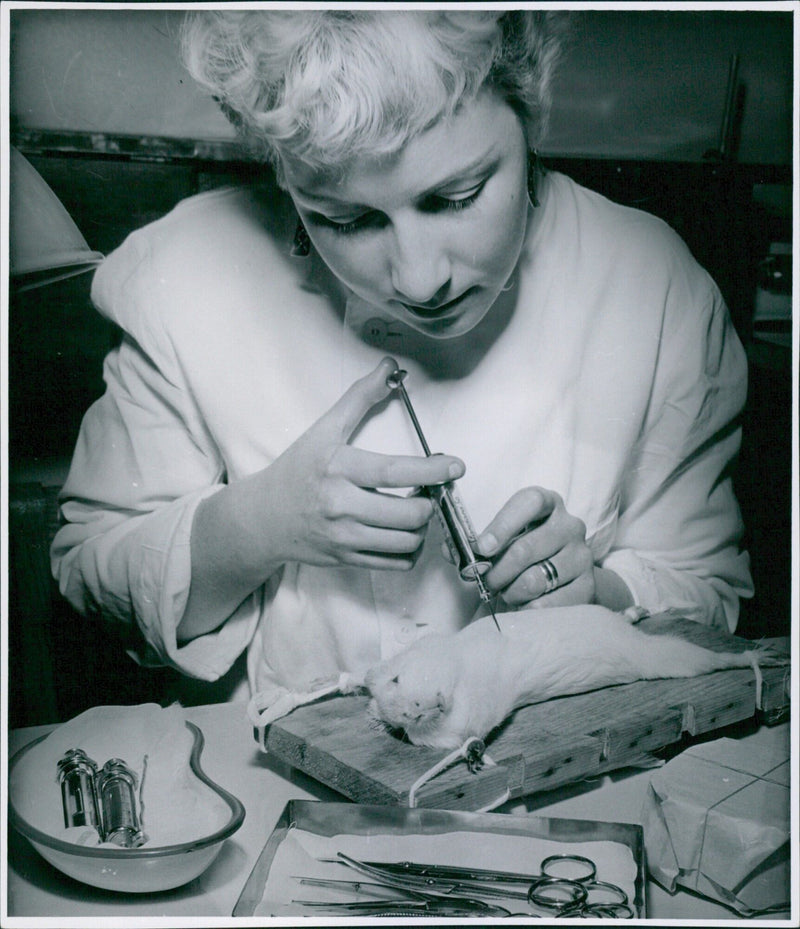 A laboratory assistant in Stockholm, Sweden in the 1960s. - Vintage Photograph
