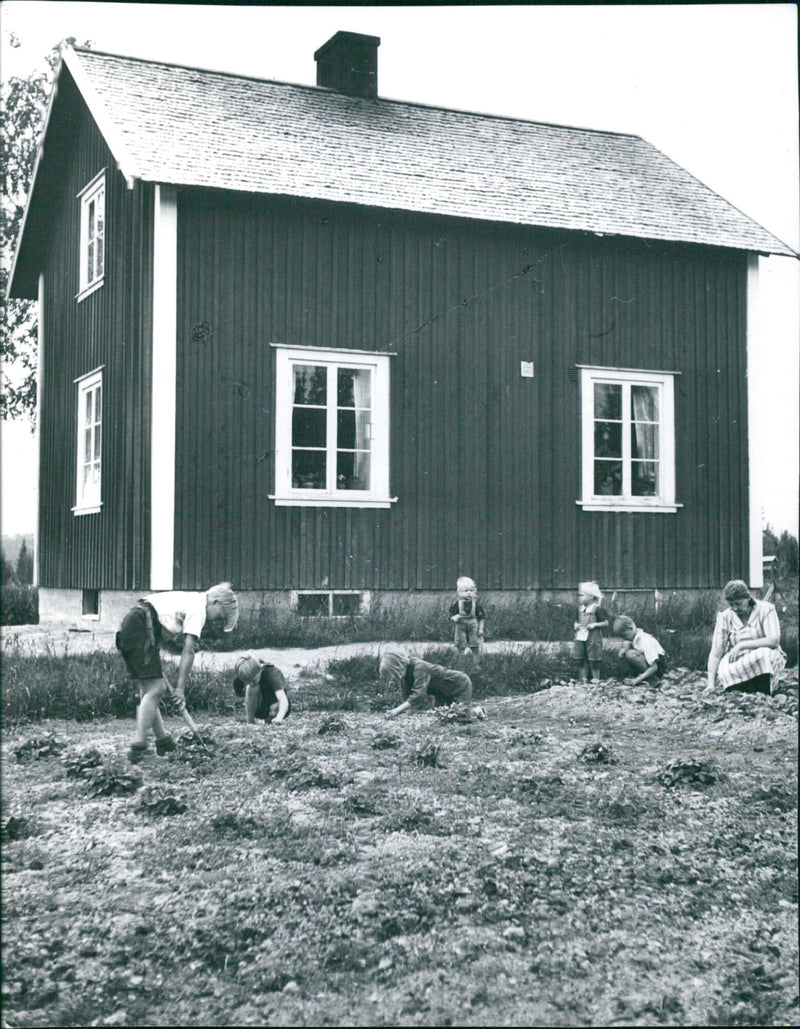 Bredkärr farm Dorothea Sweden 1943 - Vintage Photograph