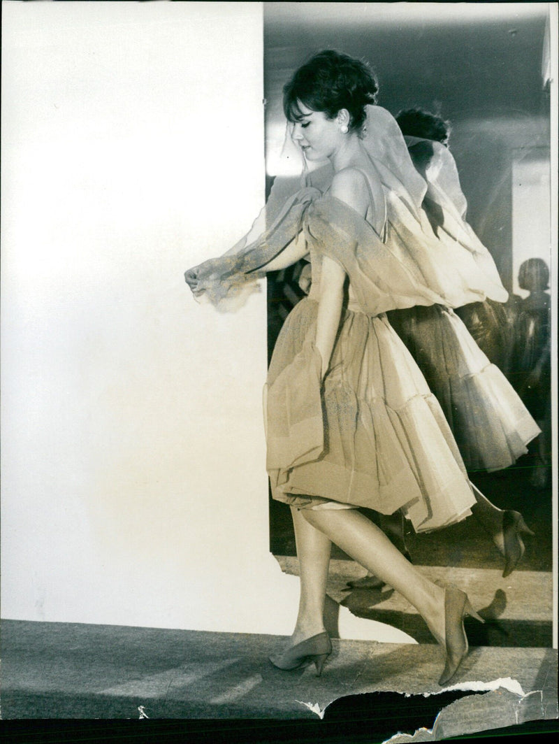 Students of Eghamon College in Stockholm, Sweden, celebrate the end of the academic year on November 23, 1961. - Vintage Photograph