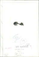 Aneer Inn Dystrophy Ox Health Maggie Crook and Autola MGA 72 Oppy Ook - Vintage Photograph