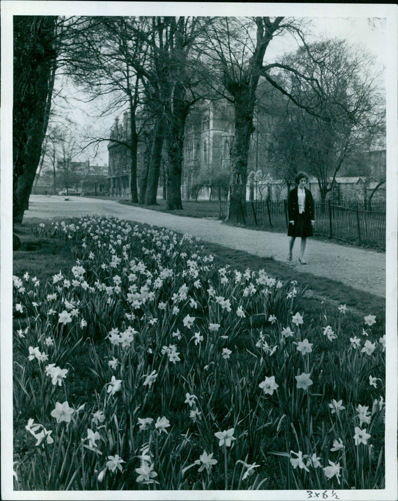 A woman poses for a photograph outdoors. - Vintage Photograph