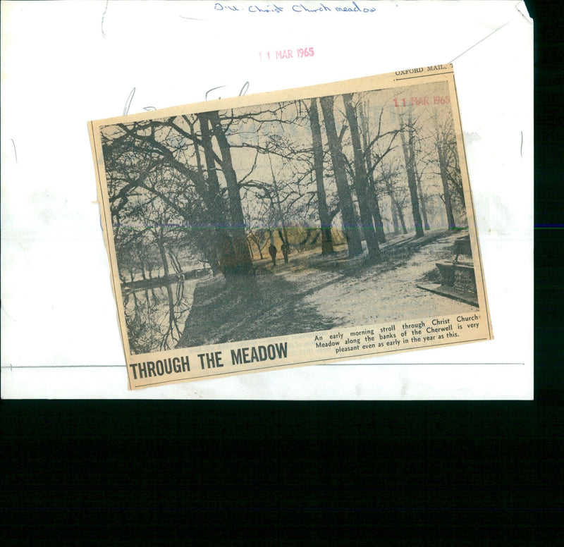 A couple take a stroll through Christ Church Meadow in Oxford, England. - Vintage Photograph