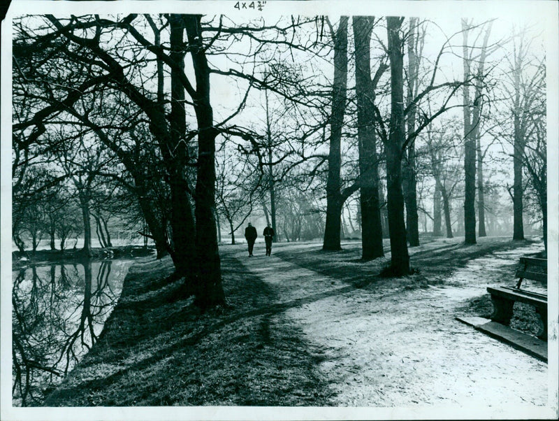 A couple take a stroll through Christ Church Meadow in Oxford, England. - Vintage Photograph