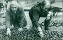 Craftsmen repair cobbled stones and the 17th century Great Gate of the Bodleian Library in Oxford, England. - Vintage Photograph