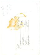 A man taking a photograph with a film camera. - Vintage Photograph