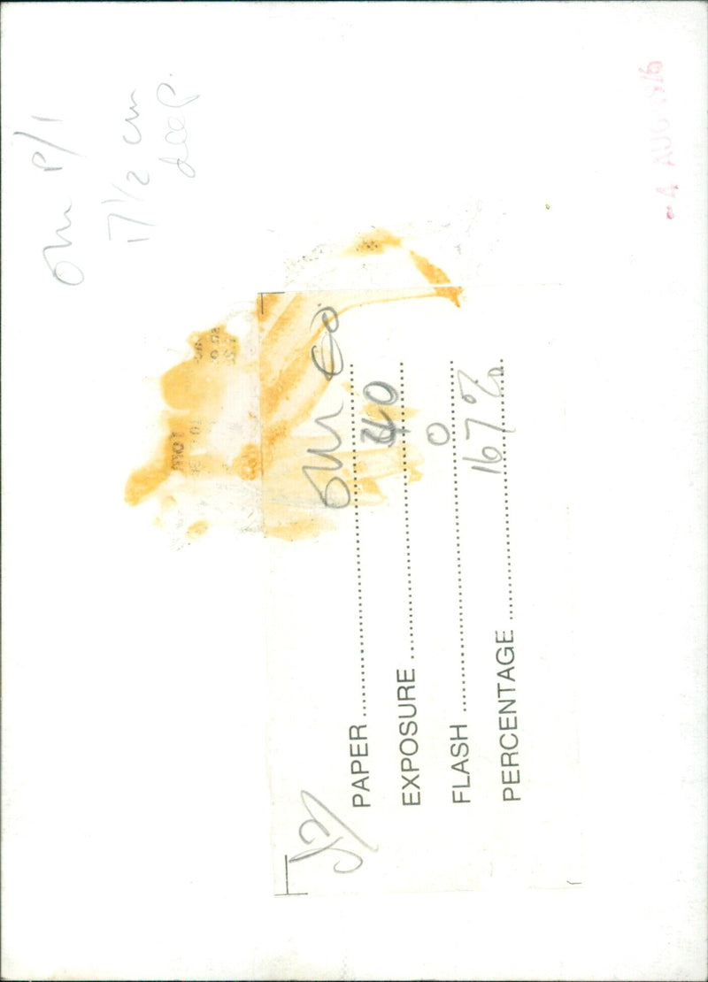 A man taking a photograph with a film camera. - Vintage Photograph