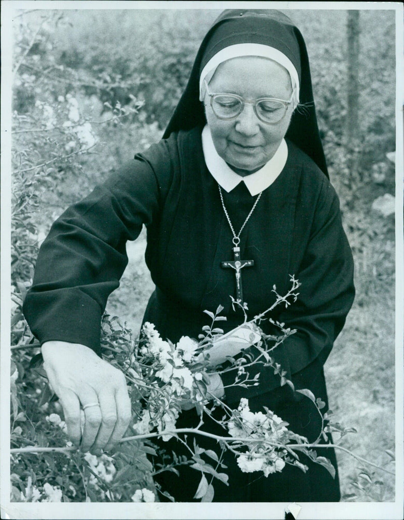 The Reverend Mather in the Priory garden. - Vintage Photograph