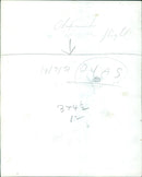 A Japanese sunomi flower blooms in the springtime. - Vintage Photograph