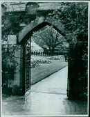 A picturesque view of spring blossoms in Balliol College gardens. - Vintage Photograph
