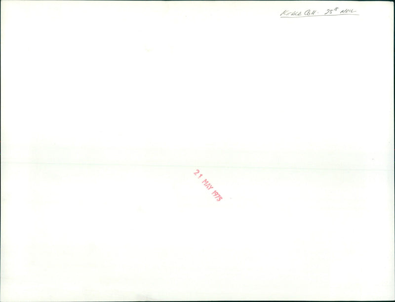 A large crowd of people at a rally on April 12, 1975. - Vintage Photograph