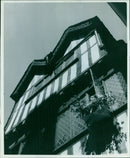 Sir David Attenborough receives a knighthood from Queen Elizabeth II. - Vintage Photograph