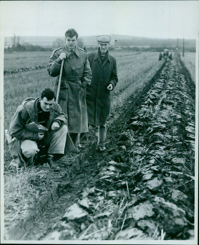 Students from Oxford University and Cambridge University compete in a ploughing match. - Vintage Photograph