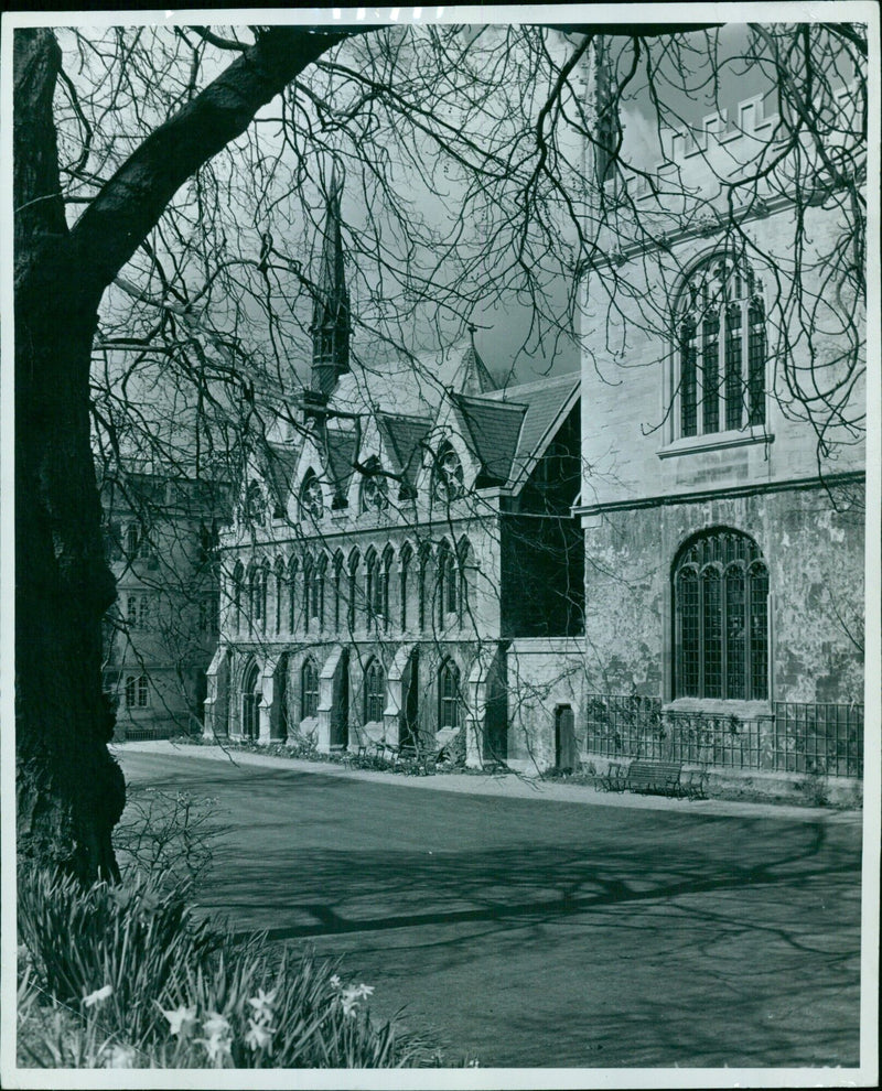 Students of Christchurch College, Oxford University, studying in the library. - Vintage Photograph