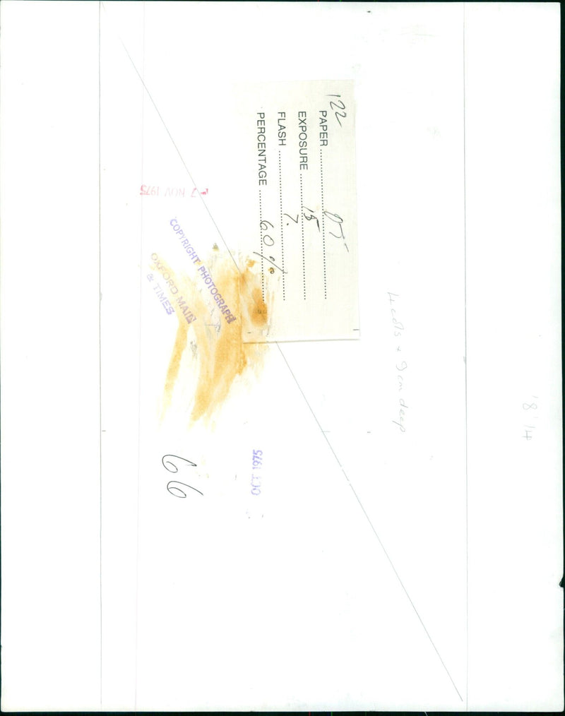 A shallow depth of field image showing a paper exposure flash percentage of 60%. - Vintage Photograph