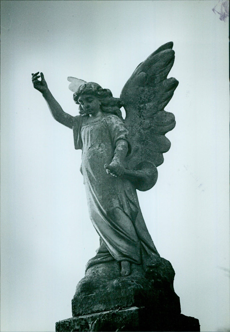 Oxford sculptures on display in a park - Vintage Photograph