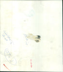 5000 political prisoners march in South Africa's Culion in protest of "blood money" arms. - Vintage Photograph