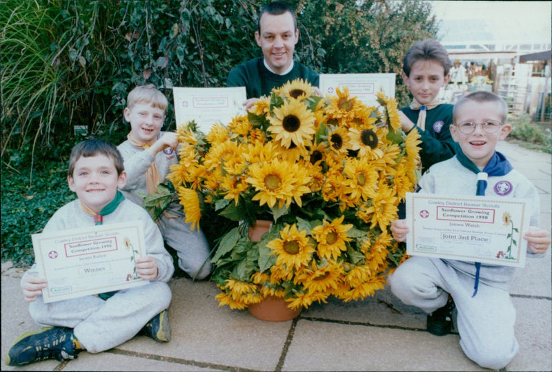 Cowley District Beaver Scouts pose with their sunflower competition winners. - Vintage Photograph