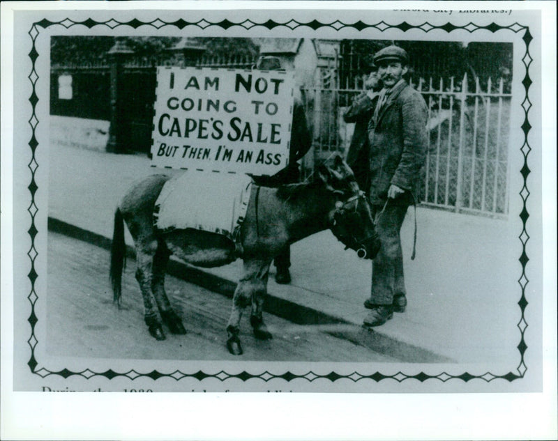 A donkey is seen in Oxford, England, on May 17, 2021. - Vintage Photograph