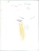 Sea Scouts take part in a sailing expedition. - Vintage Photograph