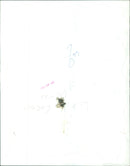 Prince Charles is welcomed by an enthusiastic crowd in Cardiff, Wales, during his 1984 tour of the United Kingdom. - Vintage Photograph