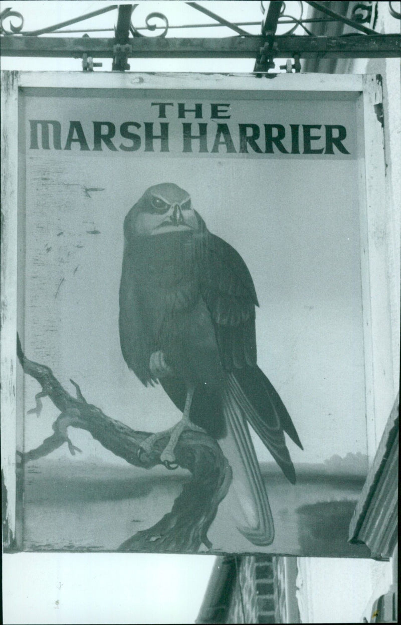 A sign commemorating the Marsh Harrier hangs outside Harrier pub in Cowley. - Vintage Photograph