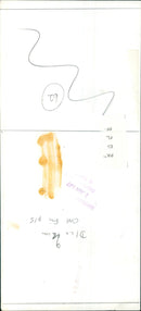 A large crowd of people gathered together to celebrate a special occasion. - Vintage Photograph