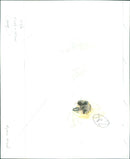 Afghan nomads drive their sheep through the desert. - Vintage Photograph