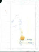 A scientist examines an insect under a microscope. - Vintage Photograph