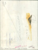 Students in St. Ebbe's school take part in a project. - Vintage Photograph