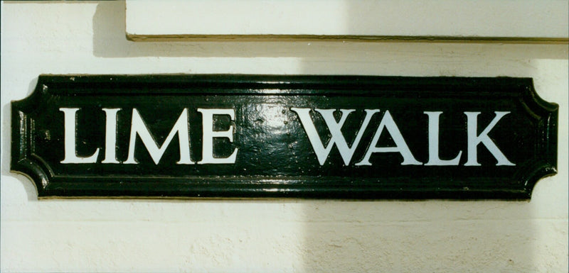 Eight Lime Walk in Oxford, England with road signs and earsa trees visible. - Vintage Photograph