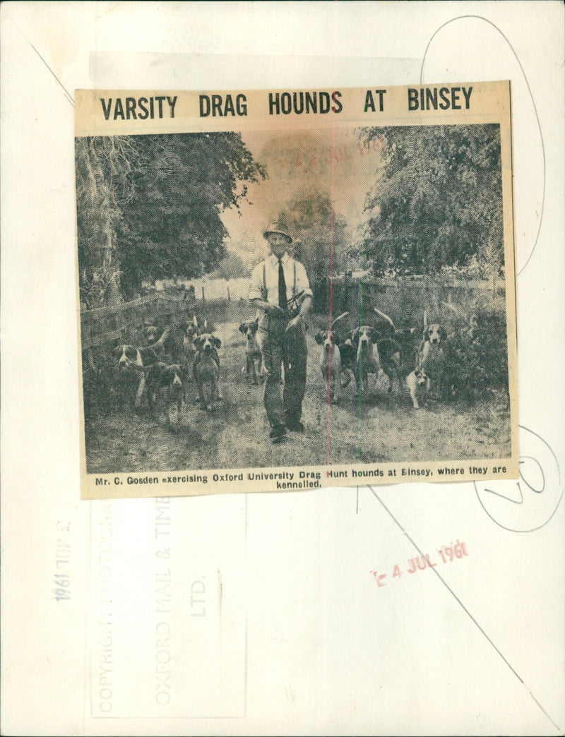 Members of the Oxford University Drag Hunt exercise their hounds at Binsey. - Vintage Photograph