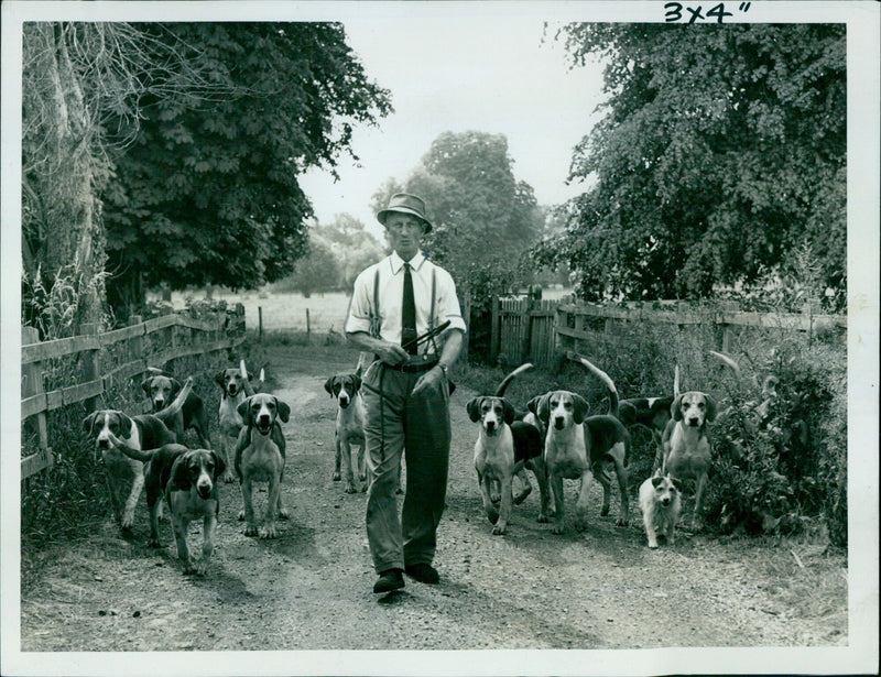 Members of the Oxford University Drag Hunt exercise their hounds at Binsey. - Vintage Photograph