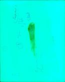 Miss Burghan F.T. Long, 96, taking part in a protest in Germany. - Vintage Photograph