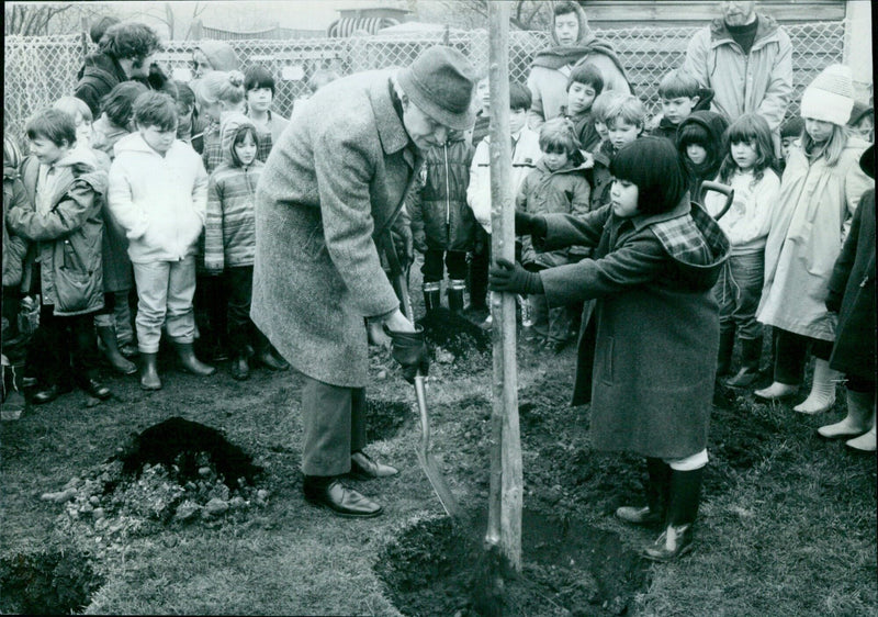 Mr. James Todd and seven-year-old Hashima Ahmad plant a tree at Cutteslowe First School in Oxford. - Vintage Photograph