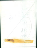 People enjoy a sunny day in a park. - Vintage Photograph