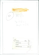 A model poses in a studio wearing a body leotard and paper exposure flash. - Vintage Photograph