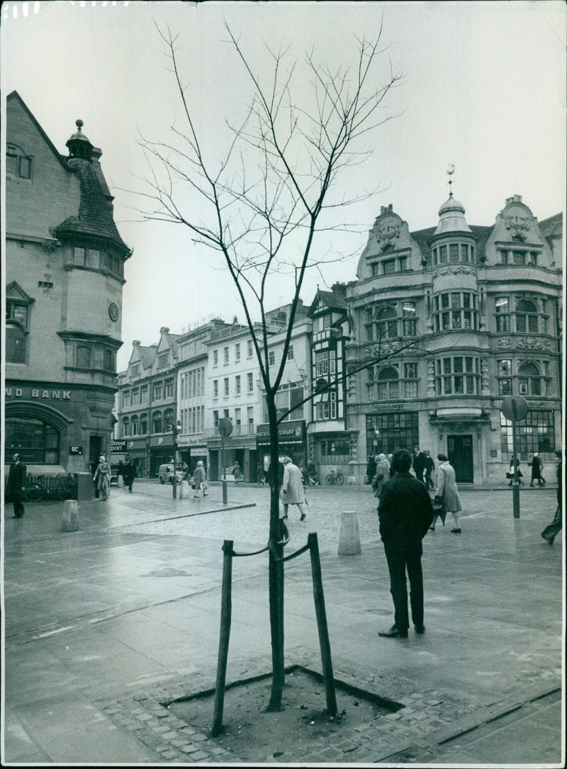 A crowd watches as Queen Street is transformed into a port. - Vintage Photograph