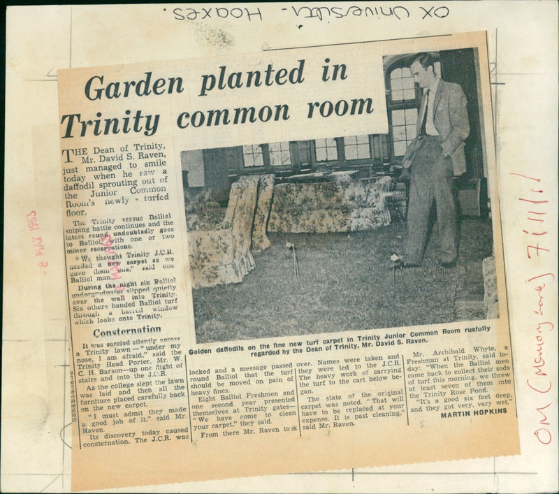 On May 8, 1953, Trinity College's Dean of Trinity, Mr. David S. Raven, manages a smile as he sees daffodils sprouting out of the Junior Common Room carpet, courtesy of Balliol College undergraduates. - Vintage Photograph