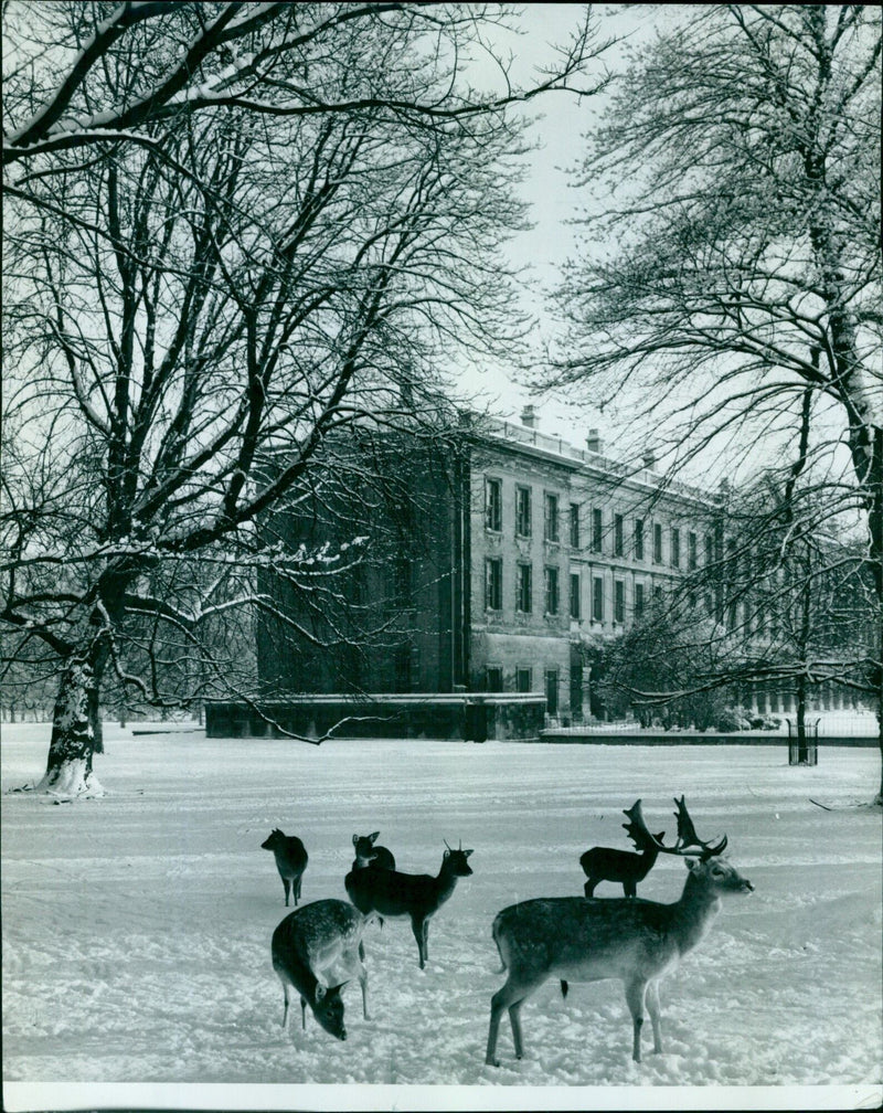 Magaalen College Deer Park is blanketed in snow for the holiday season. - Vintage Photograph