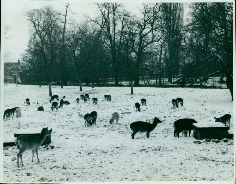 Residents of Magehalen gather to observe a vigil on January 28, 1966. - Vintage Photograph