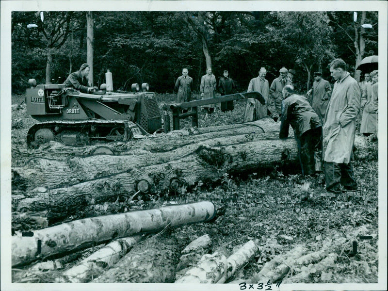 Forestry officers, undergraduates and representatives of the Land Agents' Association watch a demonstration of forestry equipment at Bagley Wood. - Vintage Photograph