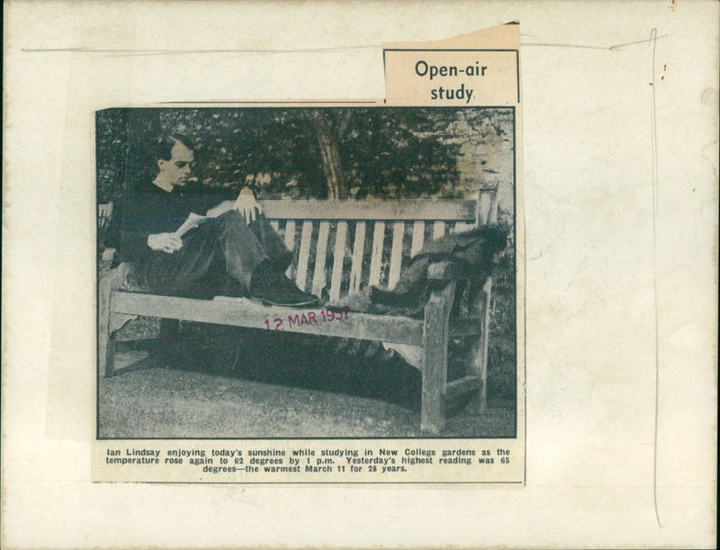 Lindsay enjoying the sunshine while studying in the New College gardens. - Vintage Photograph